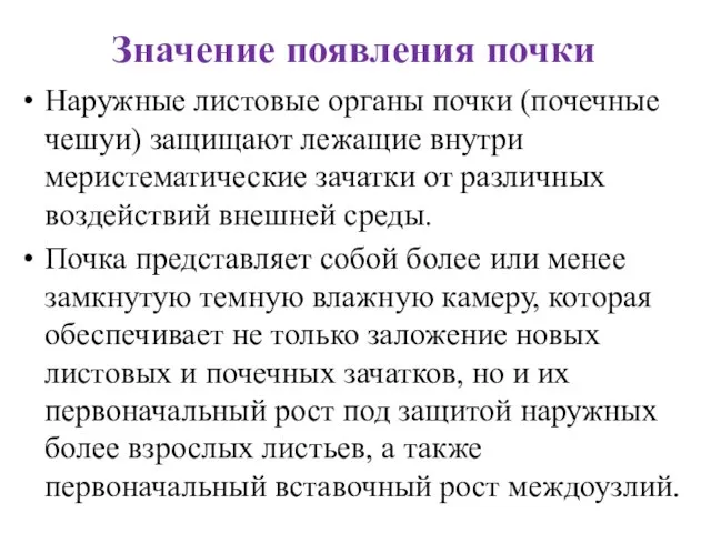 Значение появления почки Наружные листовые органы почки (почечные чешуи) защищают лежащие внутри