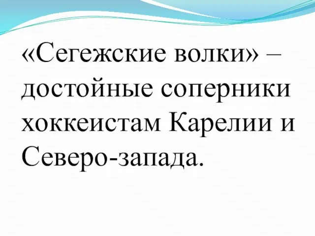 «Сегежские волки» – достойные соперники хоккеистам Карелии и Северо-запада.