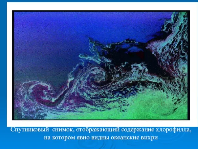 Спутниковый снимок, отображающий содержание хлорофилла, на котором явно видны океанские вихри