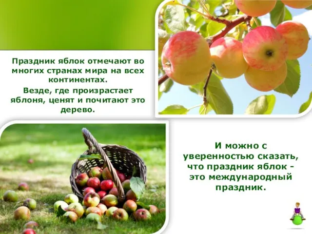 Праздник яблок отмечают во многих странах мира на всех континентах. Везде, где
