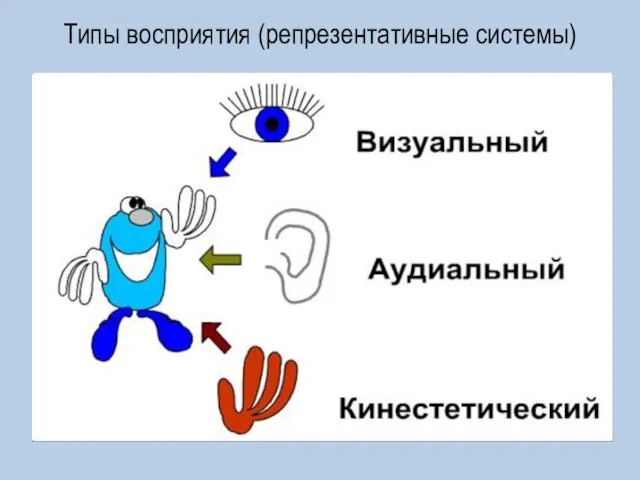 Типы восприятия (репрезентативные системы)