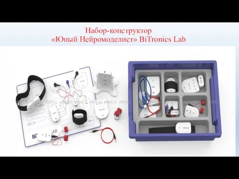 Набор-конструктор «Юный Нейромоделист» BiTronics Lab