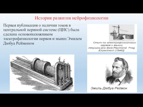 История развития нейрофизиологии Первая публикация о наличии токов в центральной нервной системе