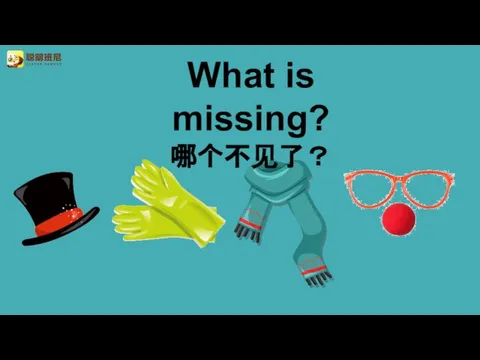 What is missing? 哪个不见了？