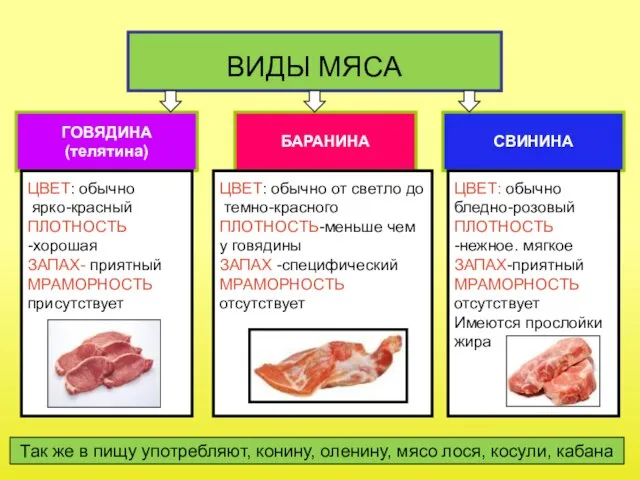 ВИДЫ МЯСА ГОВЯДИНА (телятина) БАРАНИНА СВИНИНА ЦВЕТ: обычно ярко-красный ПЛОТНОСТЬ -хорошая ЗАПАХ-