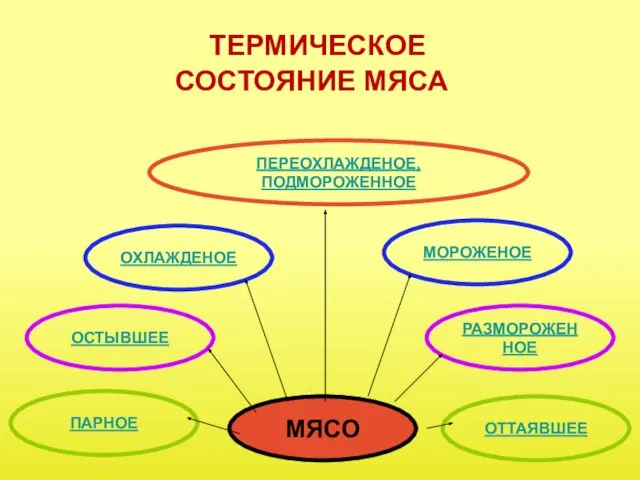 ТЕРМИЧЕСКОЕ СОСТОЯНИЕ МЯСА МЯСО ОХЛАЖДЕНОЕ МОРОЖЕНОЕ РАЗМОРОЖЕННОЕ ОСТЫВШЕЕ ОТТАЯВШЕЕ ПАРНОЕ ПЕРЕОХЛАЖДЕНОЕ, ПОДМОРОЖЕННОЕ