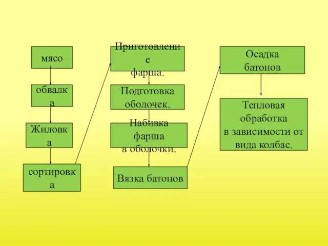 мясо обвалка Жиловка сортировка Приготовление фарша. Подготовка оболочек. Набивка фарша в оболочки.