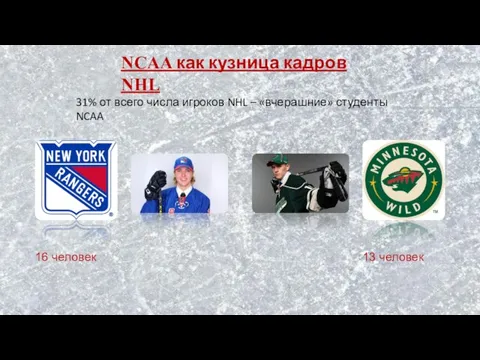 NCAA как кузница кадров NHL 31% от всего числа игроков NHL –