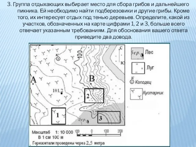 3. Группа отдыхающих выбирает место для сбора грибов и дальнейшего пикника. Ей