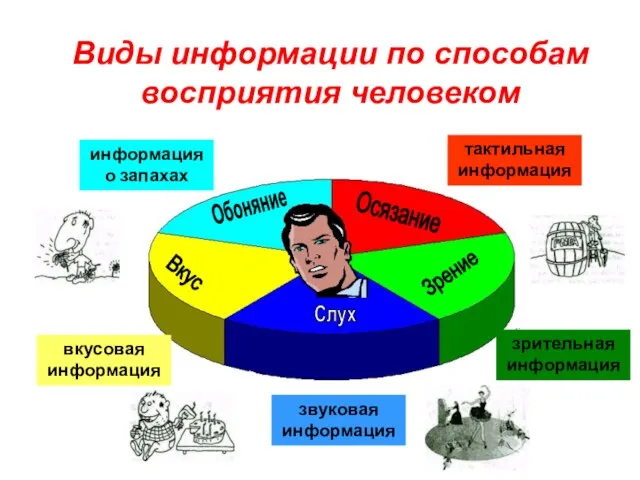 Виды информации по способам восприятия человеком звуковая информация вкусовая информация информация о