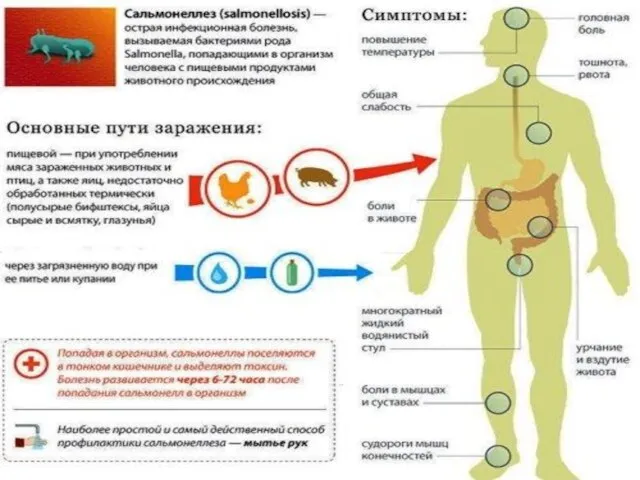 Клиническая картина Инкубационный период колеблется от 6 часов до 3 суток, составляя