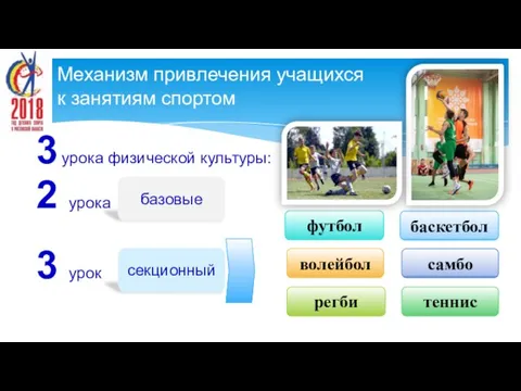 регби баскетбол футбол 3 урок секционный базовые 2 урока волейбол теннис самбо