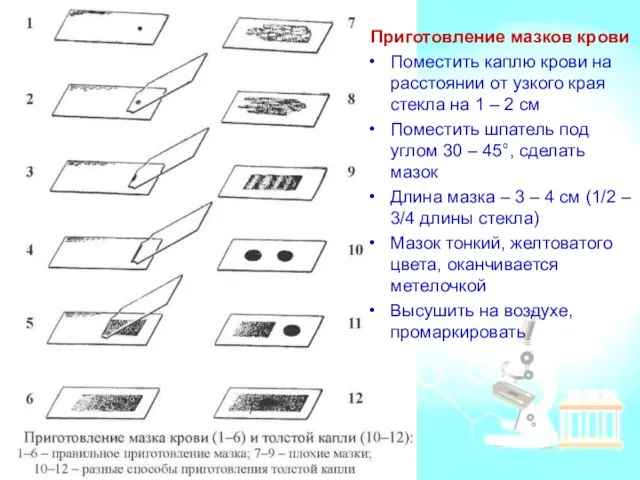 Приготовление мазков крови Поместить каплю крови на расстоянии от узкого края стекла