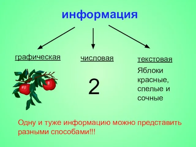 информация графическая текстовая числовая 2 Яблоки красные, спелые и сочные Одну и