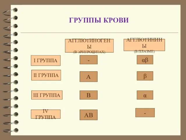 ГРУППЫ КРОВИ I ГРУППА II ГРУППА III ГРУППА IV ГРУППА АГГЛЮТИНОГЕНЫ (В