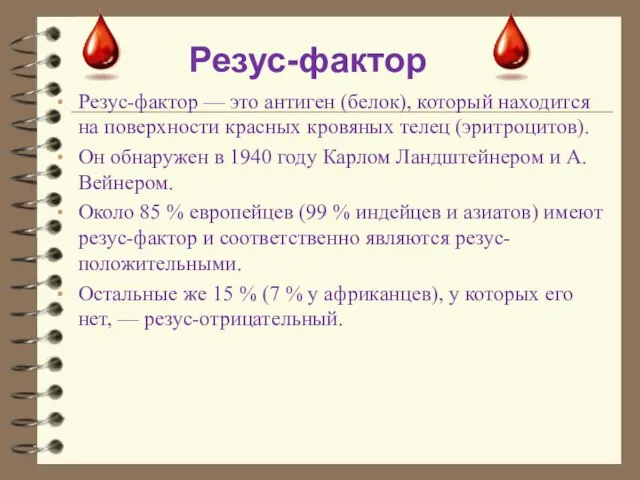 Резус-фактор — это антиген (белок), который находится на поверхности красных кровяных телец