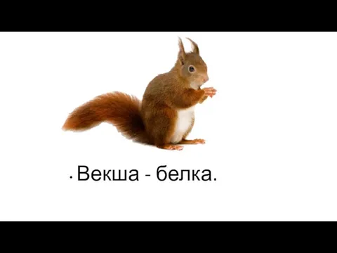 Векша - белка.