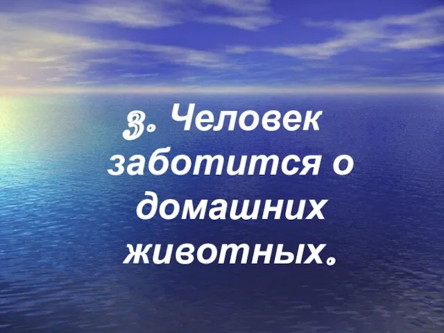 3. Человек заботится о домашних животных.