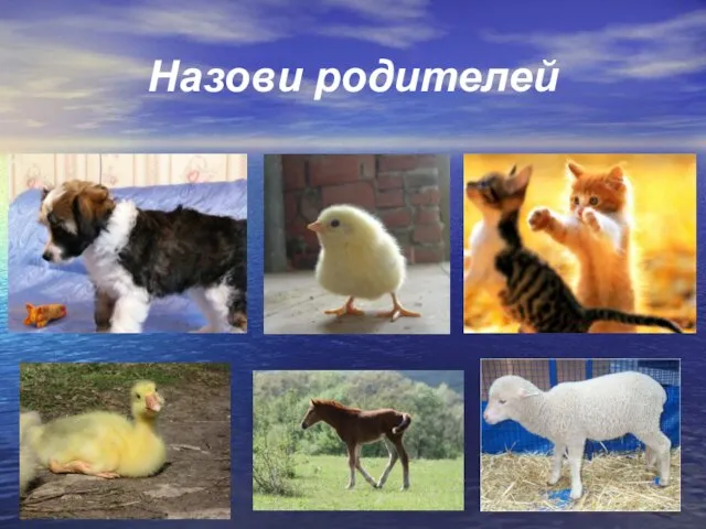 Назови родителей