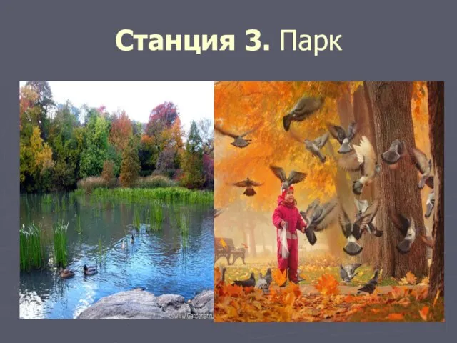 Станция 3. Парк