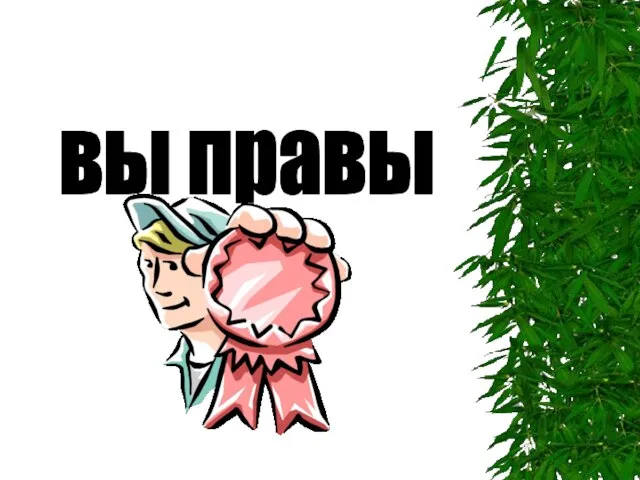 вы правы