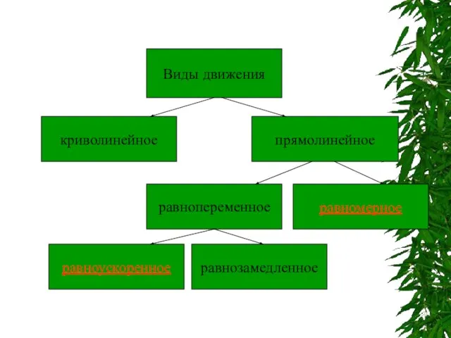 Виды движения криволинейное равномерное равноускоренное равнозамедленное равнопеременное прямолинейное