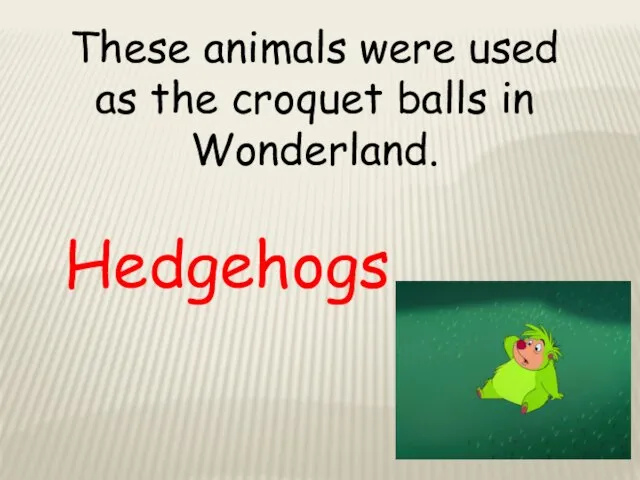 These animals were used as the croquet balls in Wonderland. Hedgehogs