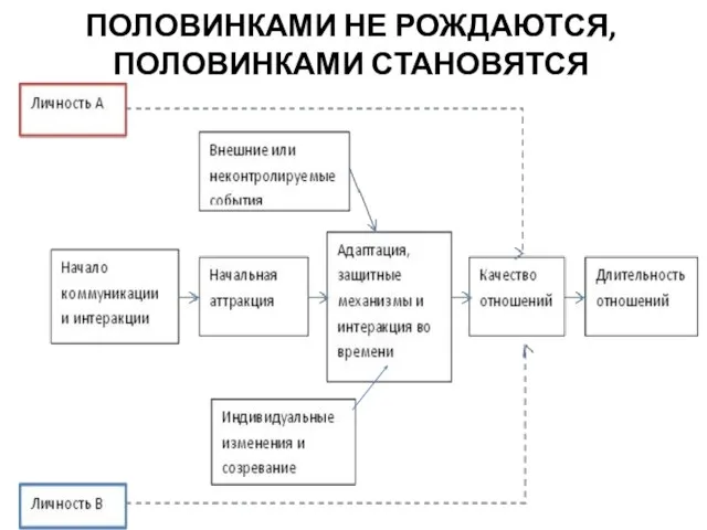 ПОЛОВИНКАМИ НЕ РОЖДАЮТСЯ, ПОЛОВИНКАМИ СТАНОВЯТСЯ