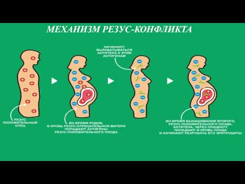 МЕХАНИЗМ РЕЗУС-КОНФЛИКТА