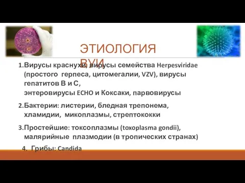 ЭТИОЛОГИЯ ВУИ Вирусы краснухи, вирусы семейства Herpesviridae (простого герпеса, цитомегалии, VZV), вирусы