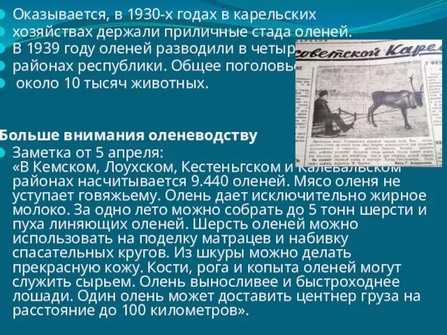 Оказывается, в 1930-х годах в карельских хозяйствах держали приличные стада оленей. В