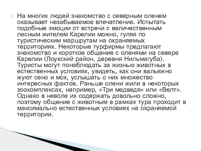 На многих людей знакомство с северным оленем оказывает незабываемое впечатление. Испытать подобные