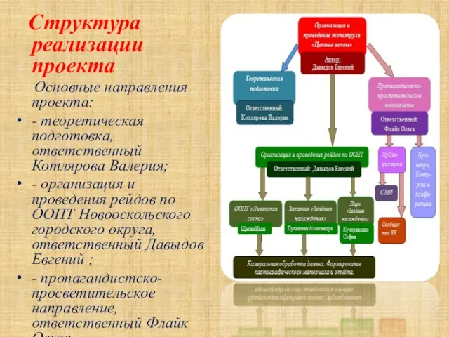 Структура реализации проекта Основные направления проекта: - теоретическая подготовка, ответственный Котлярова Валерия;