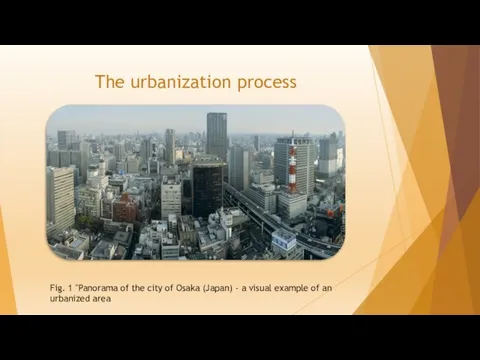 The urbanization process Fig. 1 "Panorama of the city of Osaka (Japan)