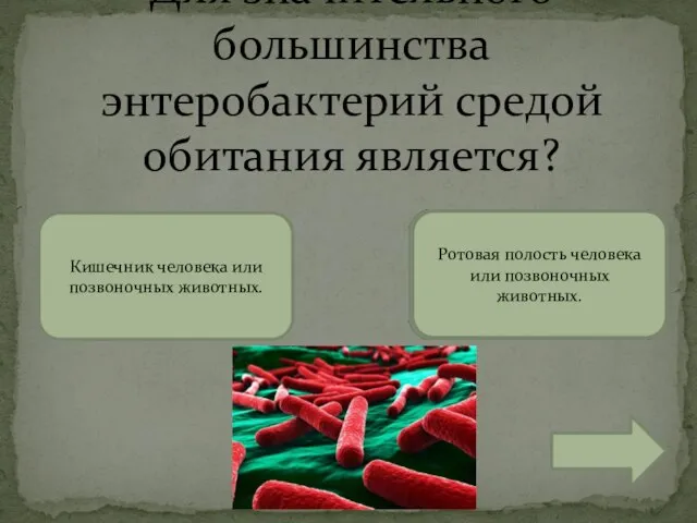 Для значительного большинства энтеробактерий средой обитания является? Ротовая полость человека или позвоночных