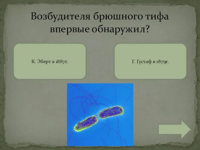 Возбудителя брюшного тифа впервые обнаружил? Г. Густаф в 1879г. К. Эберт в 1887г.