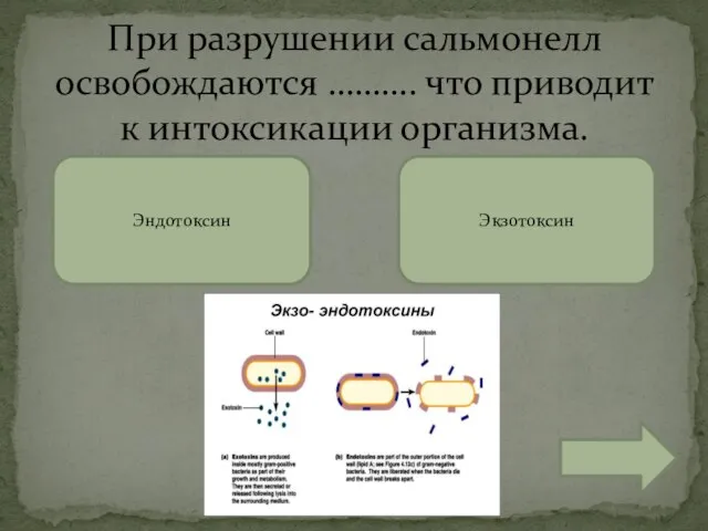 При разрушении сальмонелл освобождаются ………. что приводит к интоксикации организма. Экзотоксин Эндотоксин