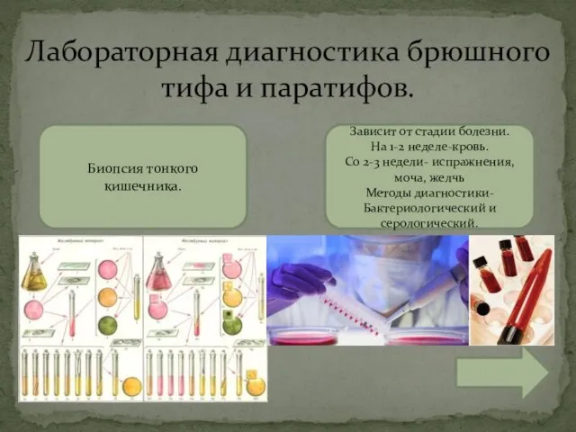 Лабораторная диагностика брюшного тифа и паратифов. Зависит от стадии болезни. На 1-2