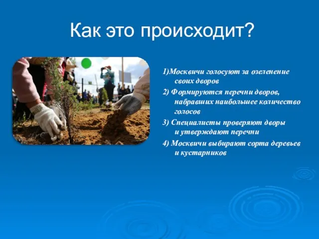 Как это происходит? 1)Москвичи голосуют за озеленение своих дворов 2) Формируются перечни