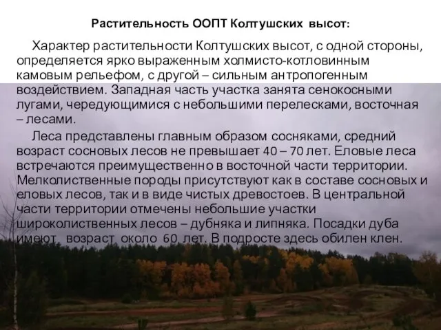 Растительность ООПТ Колтушских высот: Характер растительности Колтушских высот, с одной стороны, определяется