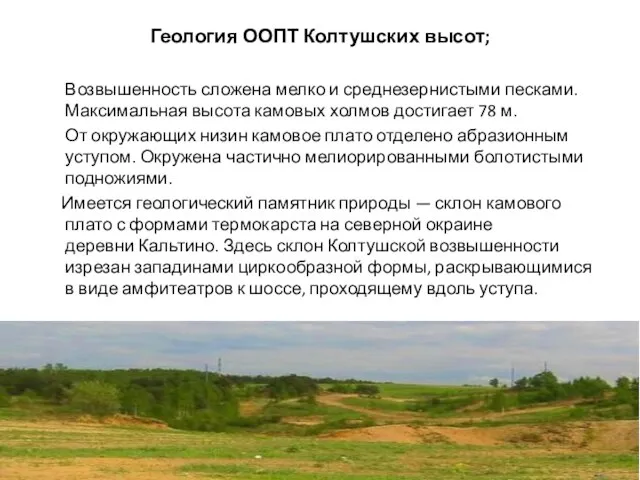 Геология ООПТ Колтушских высот; Возвышенность сложена мелко и среднезернистыми песками. Максимальная высота
