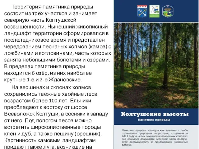 Территория памятника природы состоит из трёх участков и занимает северную часть Колтушской
