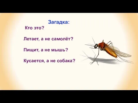 Загадка: Кто это? Летает, а не самолёт? Пищит, а не мышь? Кусается, а не собака?