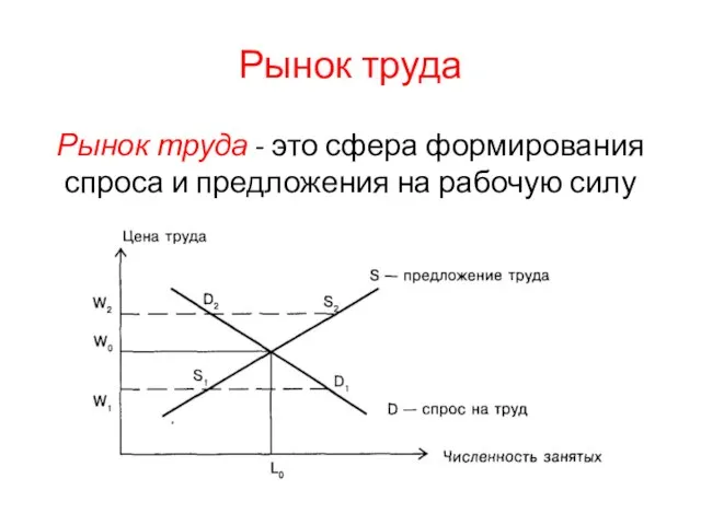 Рынок труда Рынок труда - это сфера формирования спроса и предложения на рабочую силу