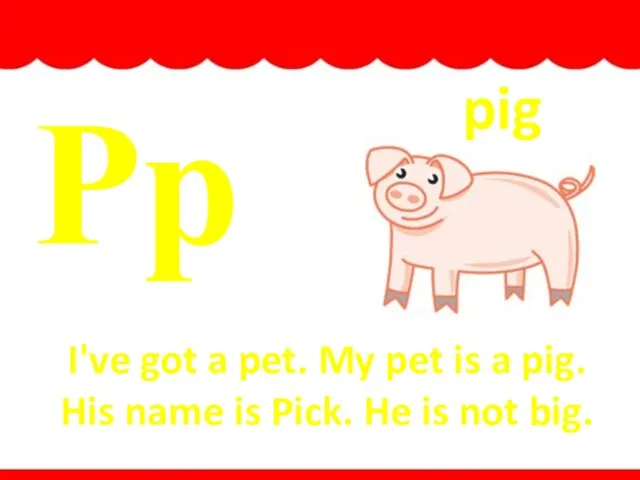Pp I've got a pet. My pet is a pig. His name