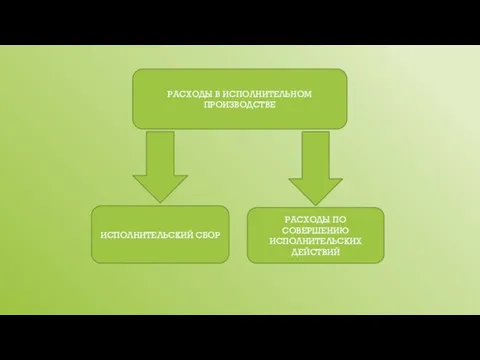 РАСХОДЫ В ИСПОЛНИТЕЛЬНОМ ПРОИЗВОДСТВЕ ИСПОЛНИТЕЛЬСКИЙ СБОР РАСХОДЫ ПО СОВЕРШЕНИЮ ИСПОЛНИТЕЛЬСКИХ ДЕЙСТВИЙ
