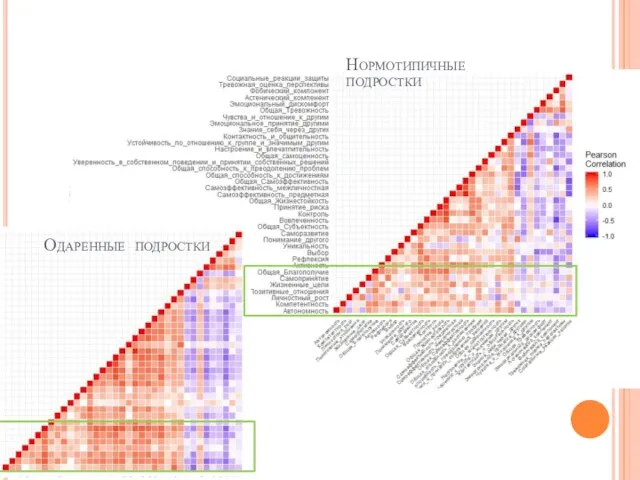 Нормотипичные подростки Одаренные подростки