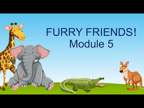 FURRY FRIENDS! Module 5