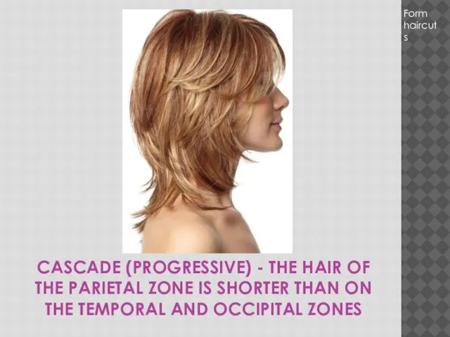 CASCADE (PROGRESSIVE) - THE HAIR OF THE PARIETAL ZONE IS SHORTER THAN