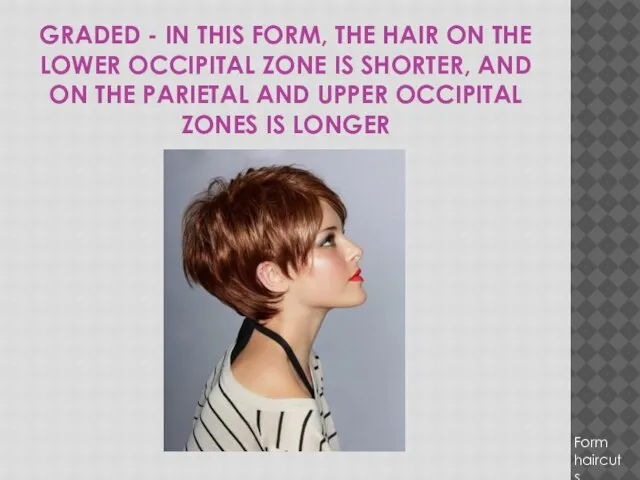GRADED - IN THIS FORM, THE HAIR ON THE LOWER OCCIPITAL ZONE